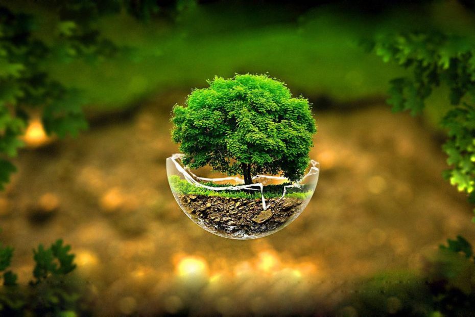 1600+] 3D Wallpapers | Wallpapers.Com