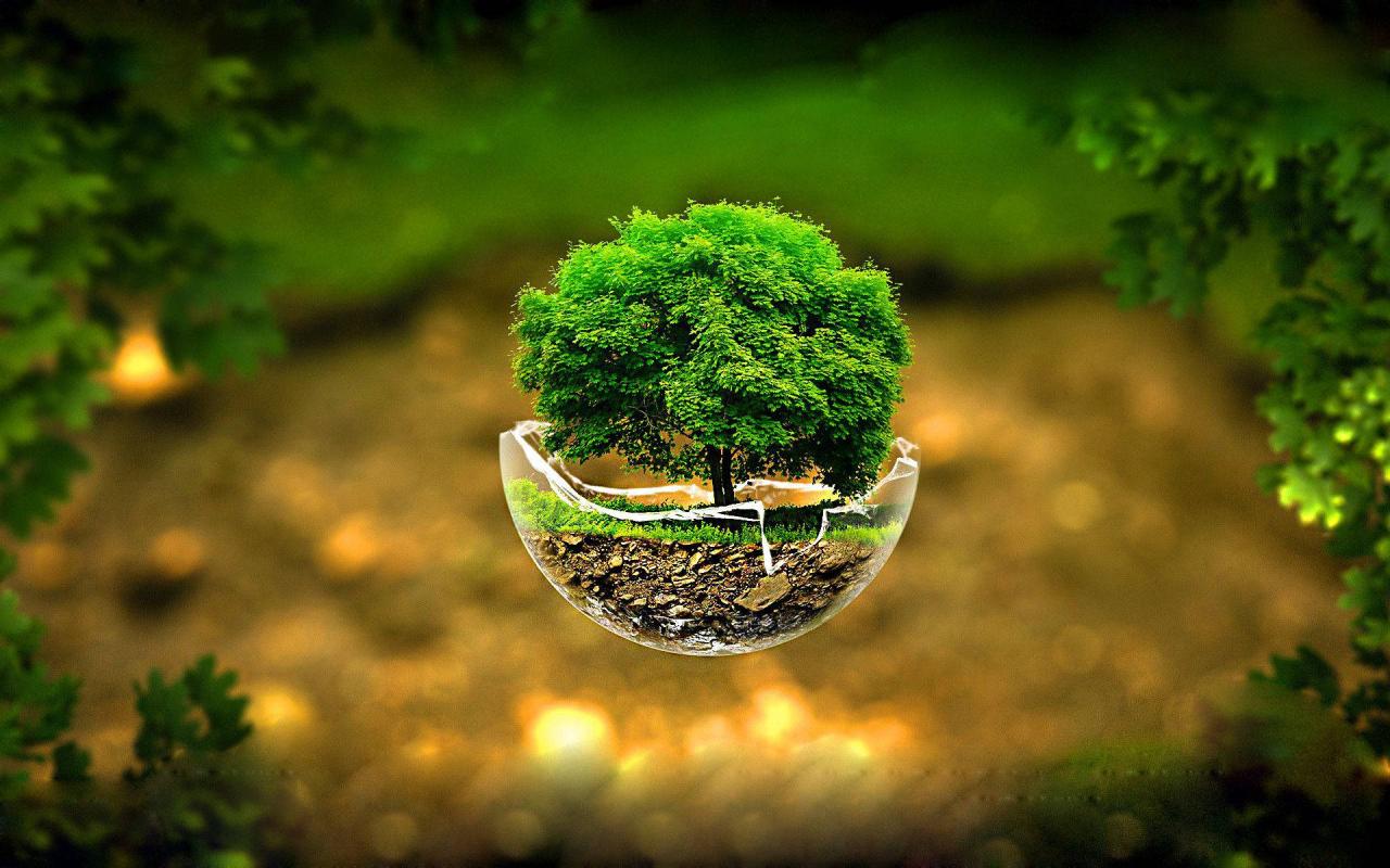 1600+] 3D Wallpapers | Wallpapers.Com